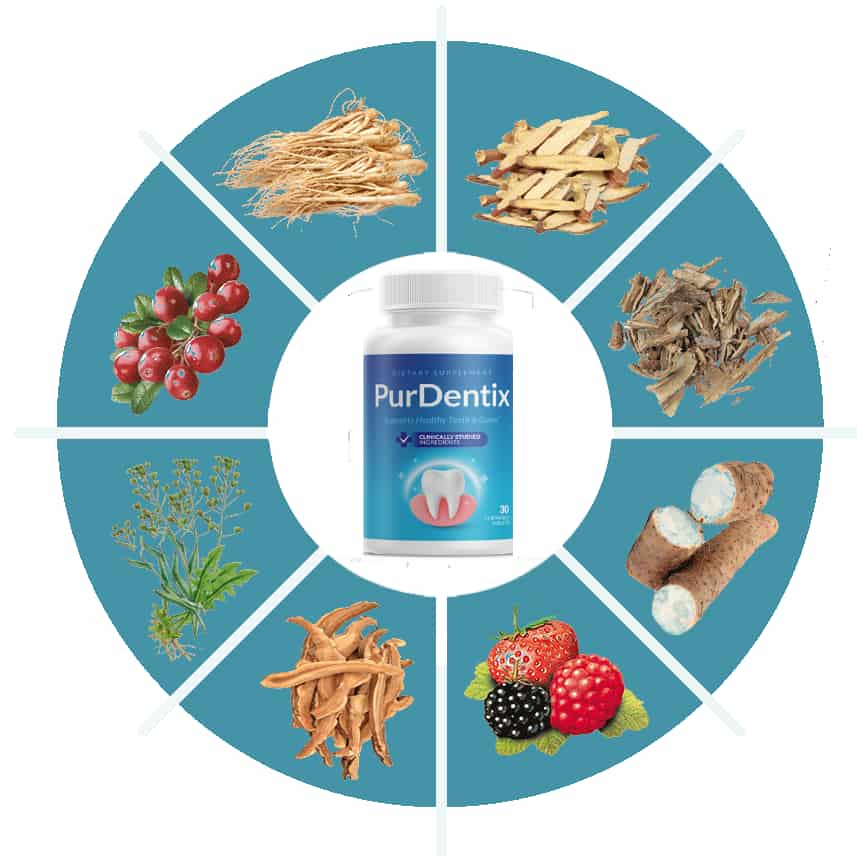 purdentix natural ingredients 